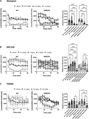 Preventing Phosphorylation of the GABAAR β3 Subunit Compromises the Behavioral Effects of Neuroactive Steroids